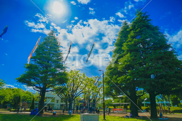 写真のタイトルが入ります