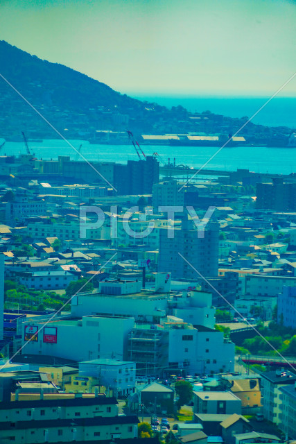 写真のタイトルが入ります