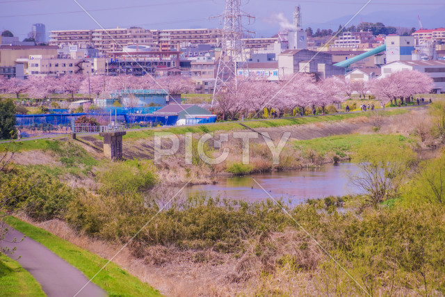 写真のタイトルが入ります