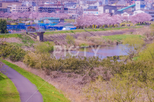 写真のタイトルが入ります