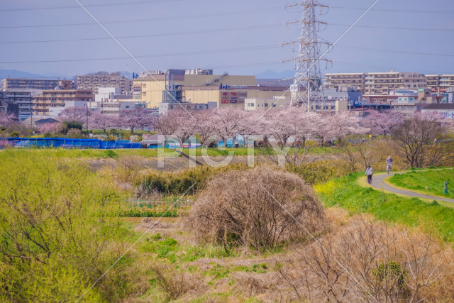 写真のタイトルが入ります