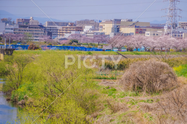 写真のタイトルが入ります