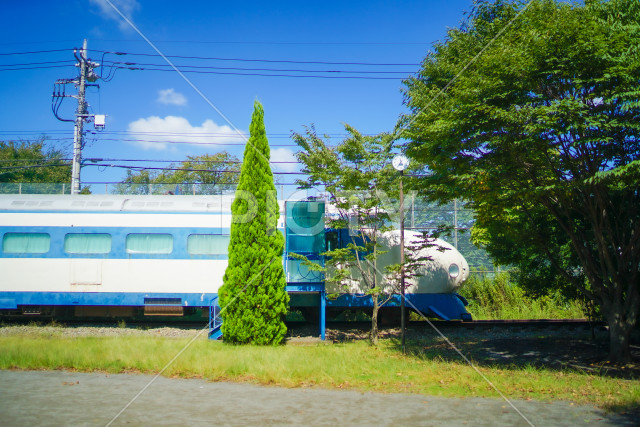写真のタイトルが入ります