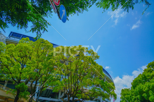 写真のタイトルが入ります