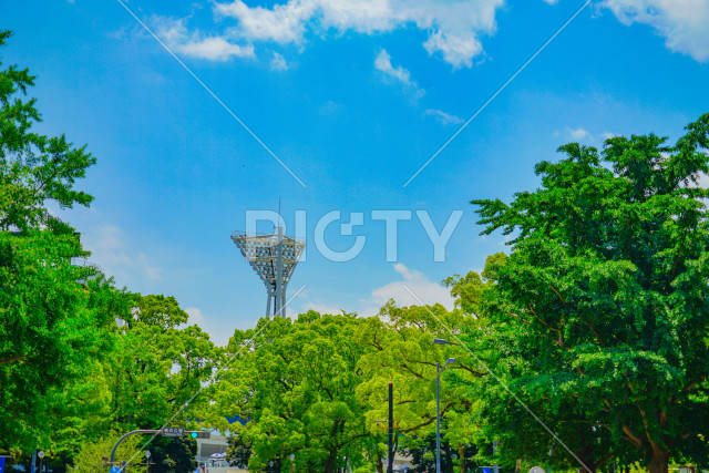 写真のタイトルが入ります
