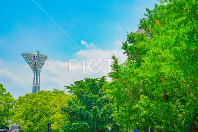 写真のタイトルが入ります