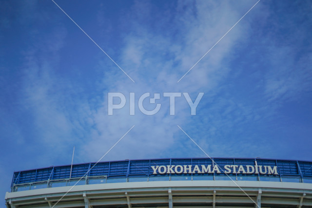 写真のタイトルが入ります