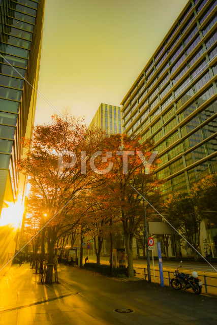 写真のタイトルが入ります