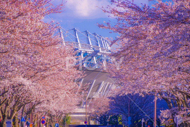 写真のタイトルが入ります