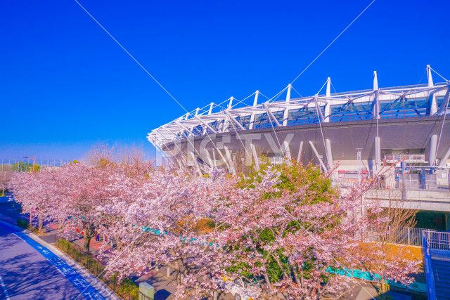 写真のタイトルが入ります