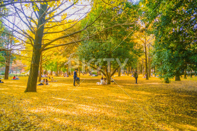 写真のタイトルが入ります