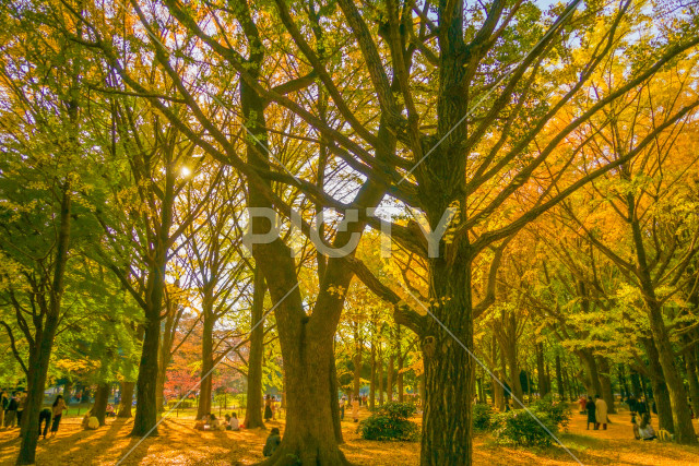 写真のタイトルが入ります