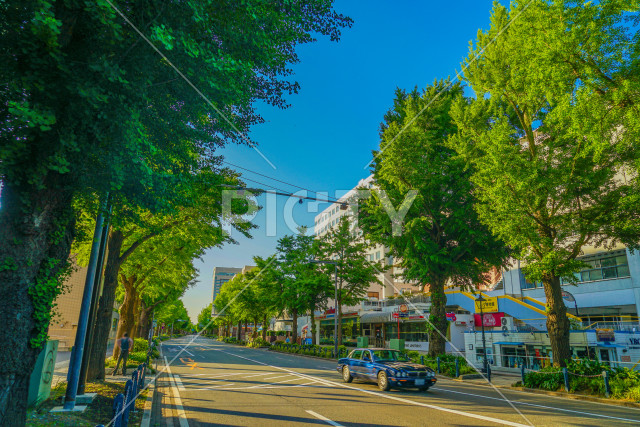 写真のタイトルが入ります