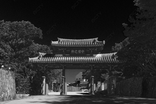 写真のタイトルが入ります