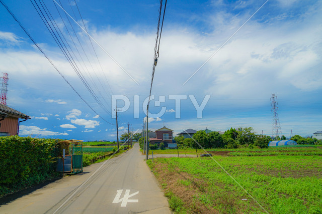 写真のタイトルが入ります