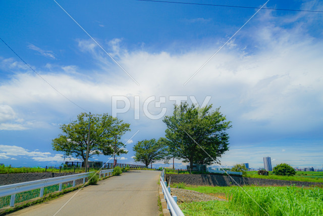 写真のタイトルが入ります