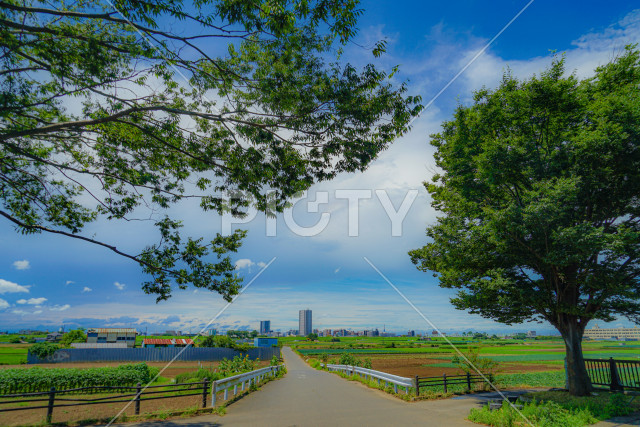 写真のタイトルが入ります
