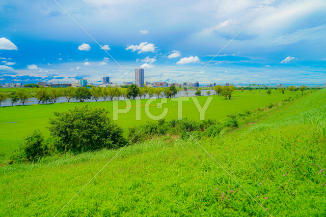 江戸川の河川敷風景（松戸市矢切）