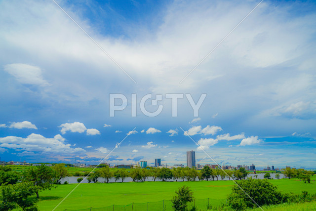 写真のタイトルが入ります