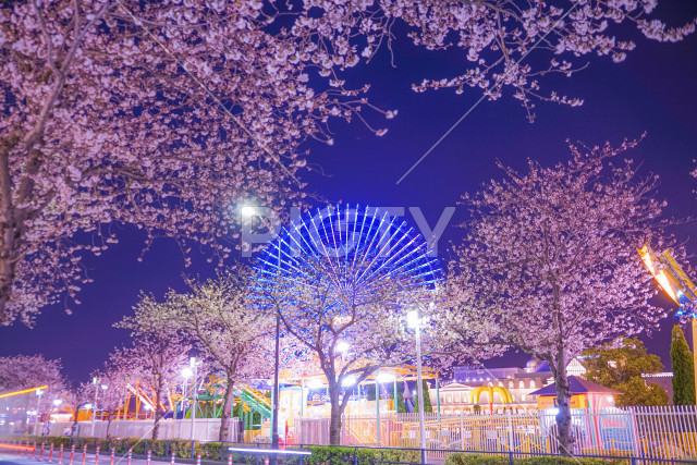 写真のタイトルが入ります