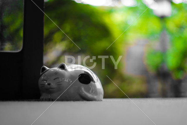 写真のタイトルが入ります