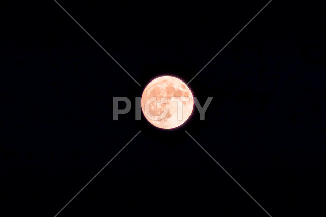 写真のタイトルが入ります
