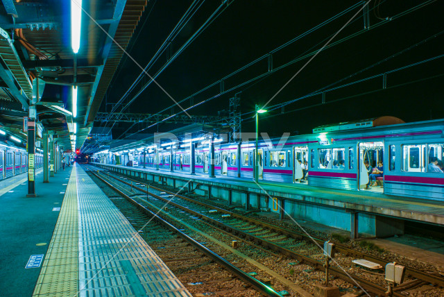 写真のタイトルが入ります