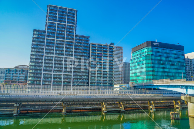 写真のタイトルが入ります