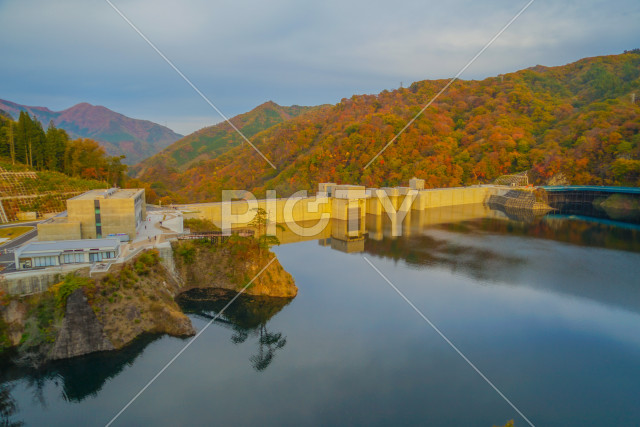 写真のタイトルが入ります