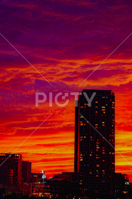 みなとみらいのマンション群と夕暮れ
