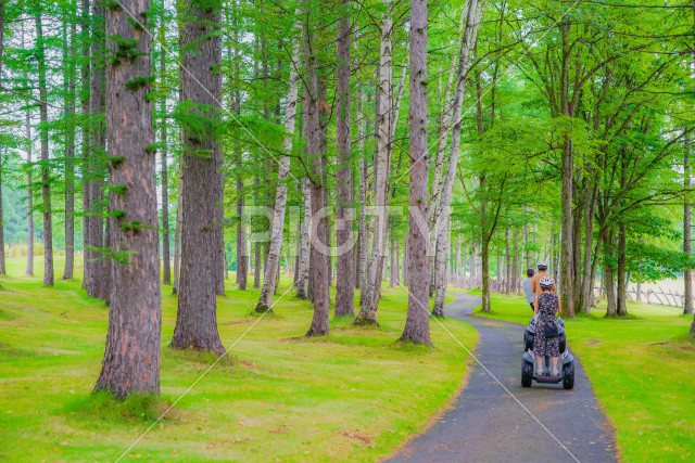 写真のタイトルが入ります