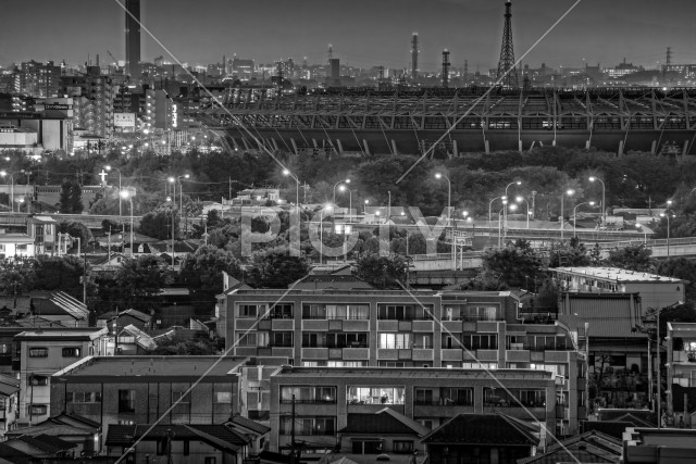 写真のタイトルが入ります