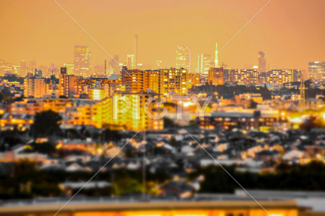写真のタイトルが入ります