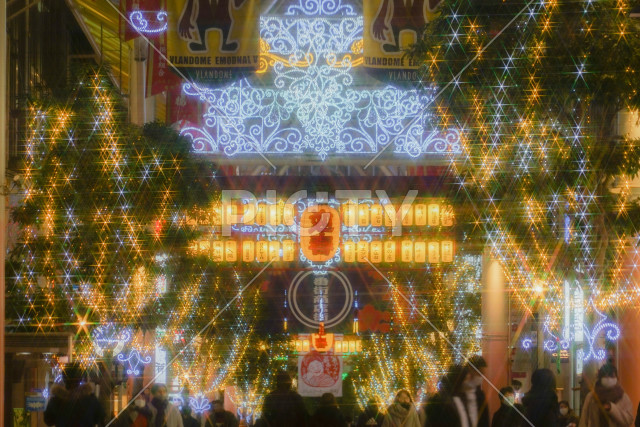 写真のタイトルが入ります