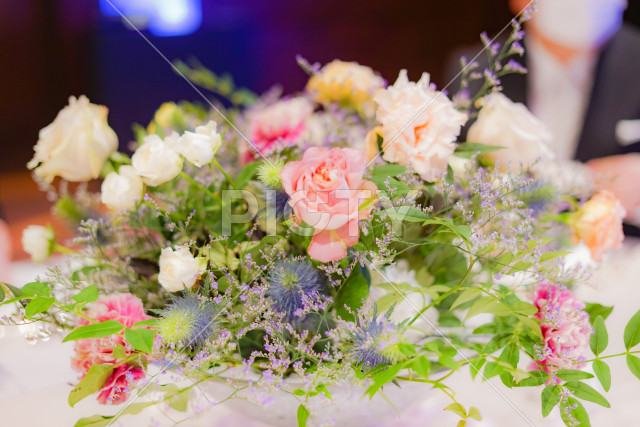写真のタイトルが入ります