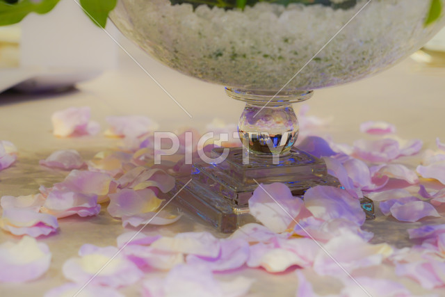 写真のタイトルが入ります