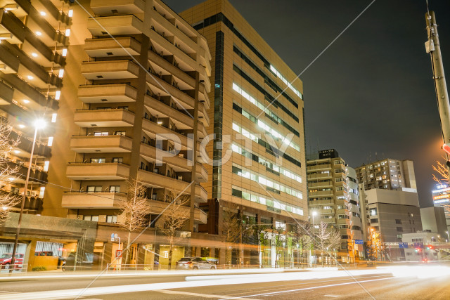 写真のタイトルが入ります