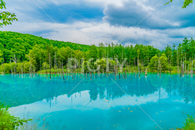 写真のタイトルが入ります