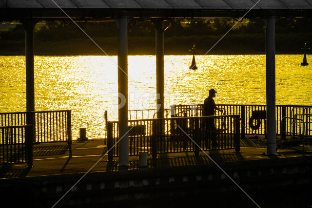 お台場海浜公園水上バスのりばの夕景