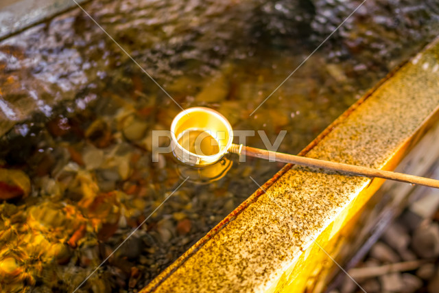 写真のタイトルが入ります