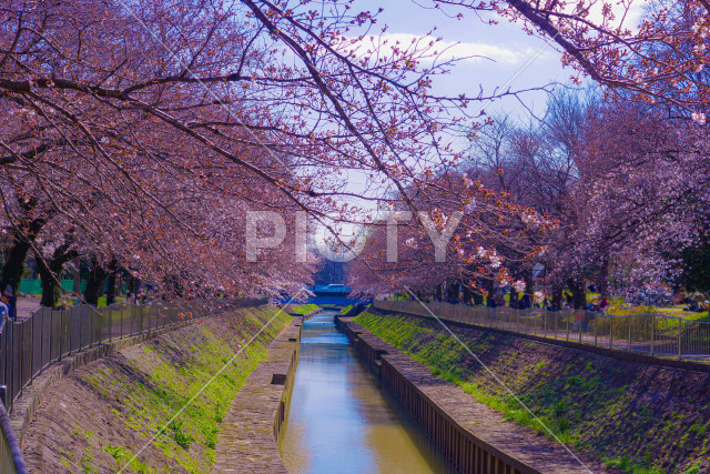 写真のタイトルが入ります