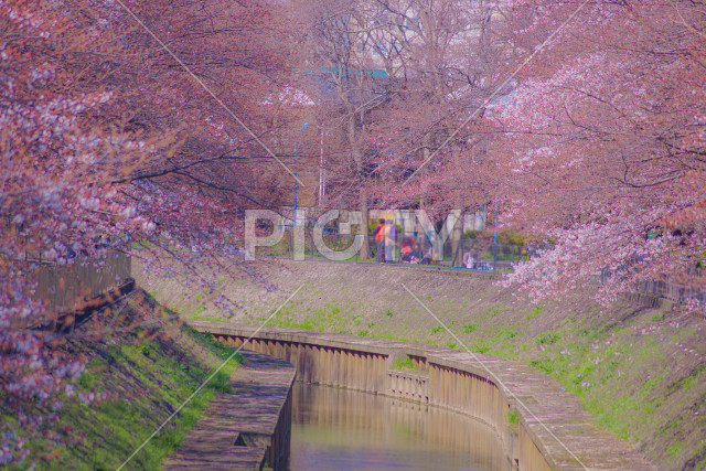 写真のタイトルが入ります
