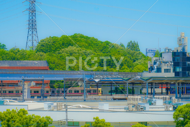 多摩都市モノレールと新緑