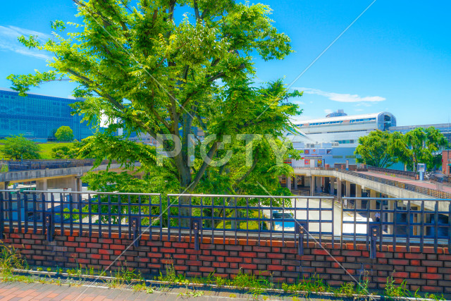 写真のタイトルが入ります