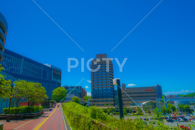 写真のタイトルが入ります