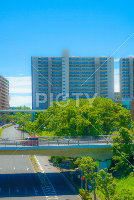 写真のタイトルが入ります