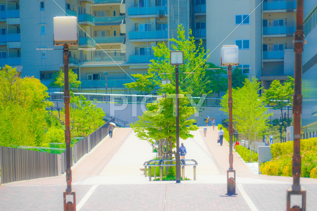 写真のタイトルが入ります