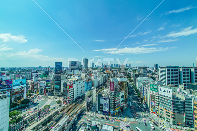 写真のタイトルが入ります