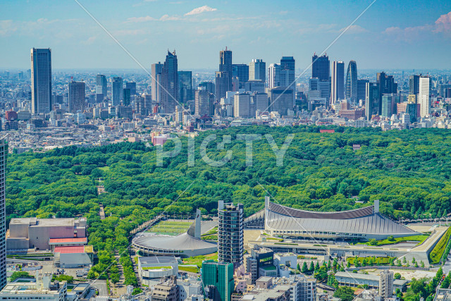写真のタイトルが入ります