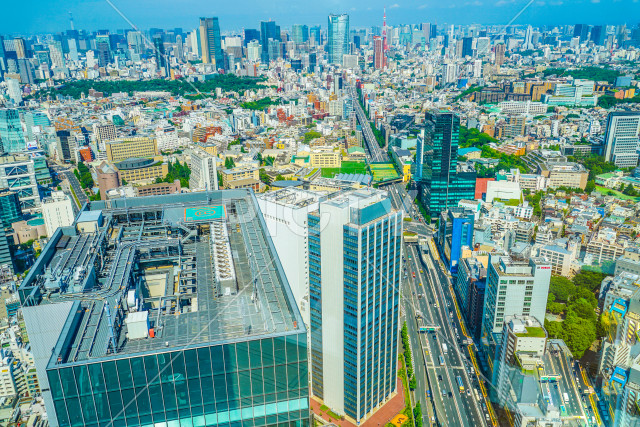 写真のタイトルが入ります
